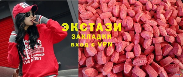 СК Алексин