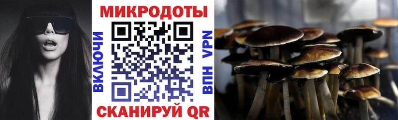 Псилоцибиновые грибы ЛСД  купить  цена  Челябинск 